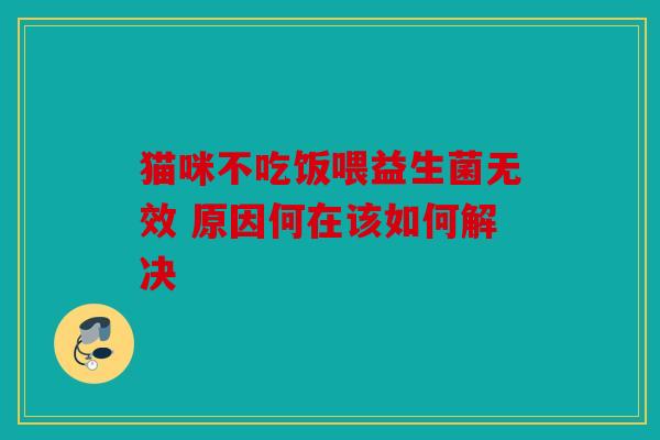 猫咪不吃饭喂益生菌无效 原因何在该如何解决 猫咪不吃饭喂益生菌无效 原因何在该如何解决