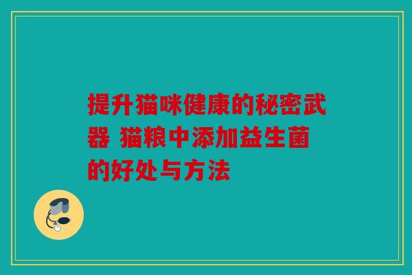 提升猫咪健康的秘密武器 猫粮中添加益生菌的好处与方法