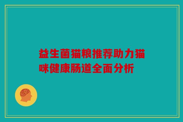 益生菌猫粮推荐助力猫咪健康肠道全面分析 益生菌猫粮推荐助力猫咪健康肠道全面分析