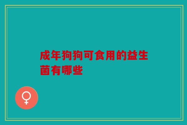 成年狗狗可食用的益生菌有哪些