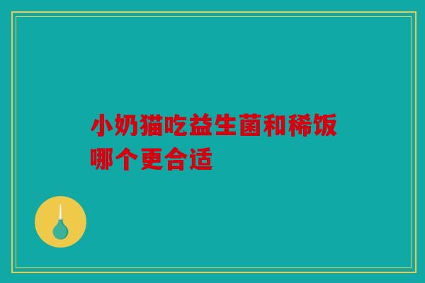 小奶猫吃益生菌和稀饭哪个更合适