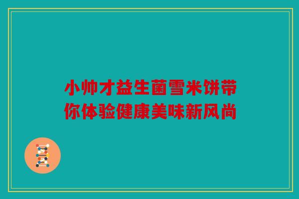 小帅才益生菌雪米饼带你体验健康美味新风尚 小帅才益生菌雪米饼带你体验健康美味新风尚