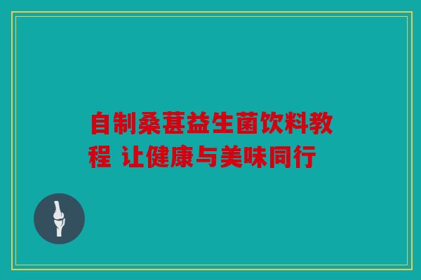 自制桑葚益生菌饮料教程 让健康与美味同行