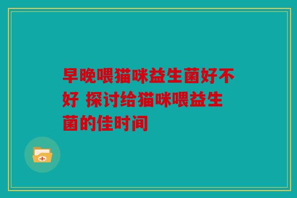 早晚喂猫咪益生菌好不好 探讨给猫咪喂益生菌的佳时间