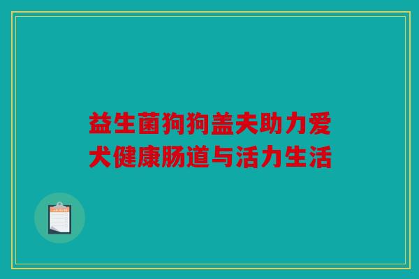 益生菌狗狗盖夫助力爱犬健康肠道与活力生活