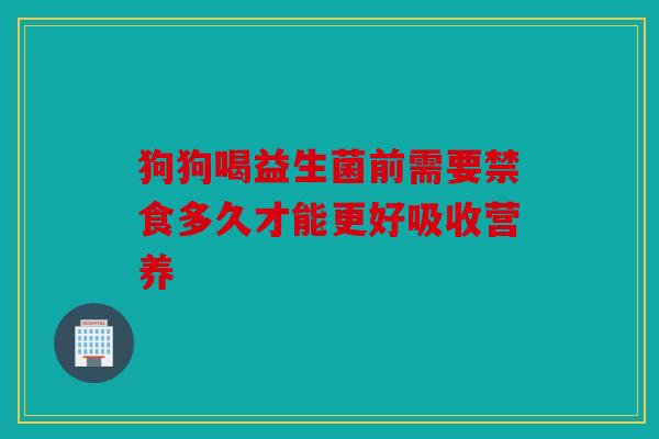 狗狗喝益生菌前需要禁食多久才能更好吸收营养