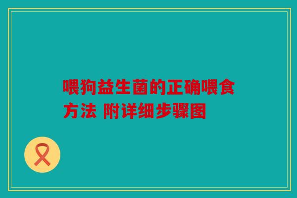 喂狗益生菌的正确喂食方法 附详细步骤图
