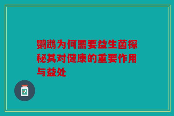 鹦鹉为何需要益生菌探秘其对健康的重要作用与益处