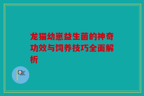 龙猫幼崽益生菌的神奇功效与饲养技巧全面解析 龙猫幼崽益生菌的神奇功效与饲养技巧全面解析