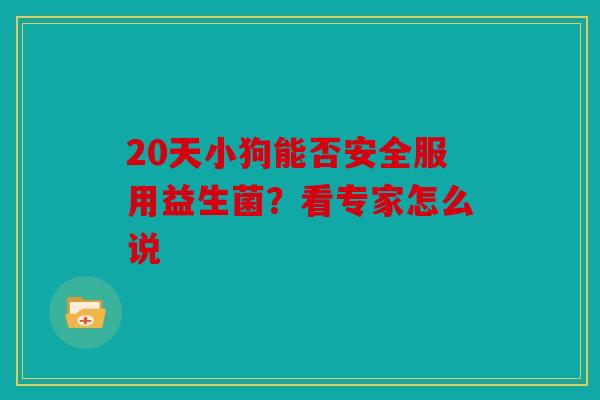 20天小狗能否安全服用益生菌?看专家怎么说 20天小狗能否安全服用益生菌?看专家怎么说