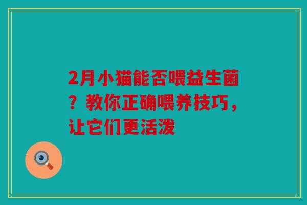 2月小猫能否喂益生菌?教你正确喂养技巧,让它们更活泼 2月小猫能否喂益生菌?教你正确喂养技巧,让它们更活泼