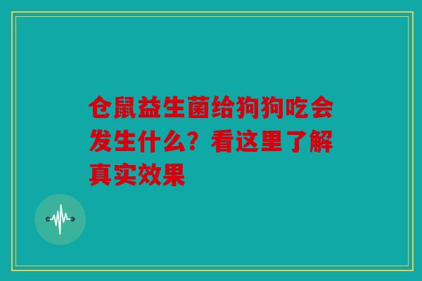 仓鼠益生菌给狗狗吃会发生什么？看这里了解真实效果