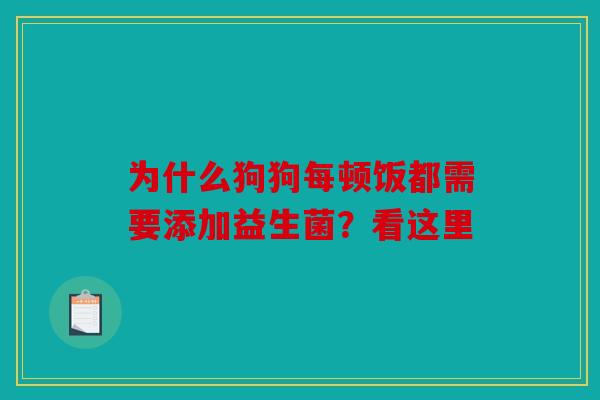 为什么狗狗每顿饭都需要添加益生菌？看这里