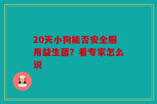 20天小狗能否安全服用益生菌？看专家怎么说