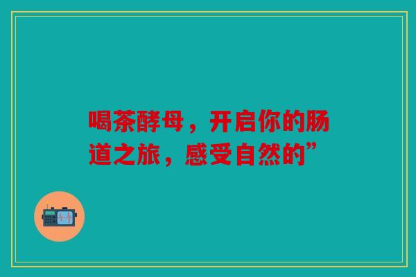 喝茶酵母，开启你的肠道之旅，感受自然的”