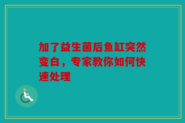 加了益生菌后鱼缸突然变白，专家教你如何快速处理