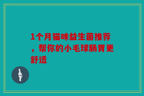 1个月猫咪益生菌推荐，帮你的小毛球肠胃更舒适
