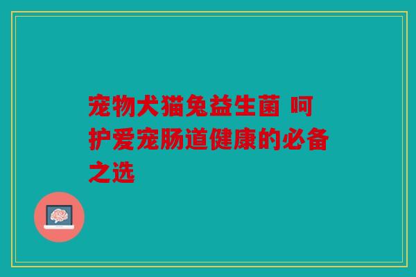 宠物犬猫兔益生菌 呵护爱宠肠道健康的必备之选