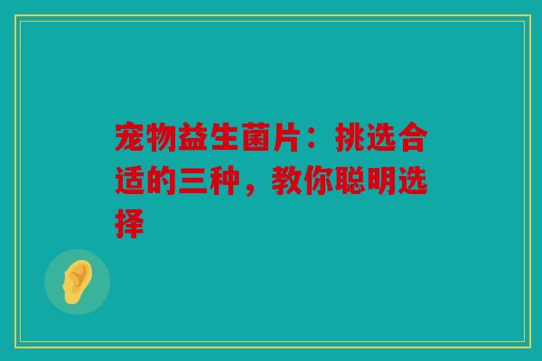 宠物益生菌片：挑选合适的三种，教你聪明选择