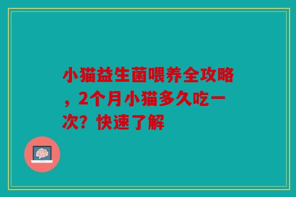 小猫益生菌喂养全攻略，2个月小猫多久吃一次？快速了解