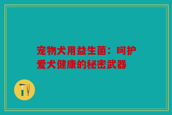 宠物犬用益生菌：呵护爱犬健康的秘密武器