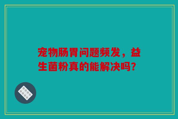 宠物肠胃问题频发，益生菌粉真的能解决吗？