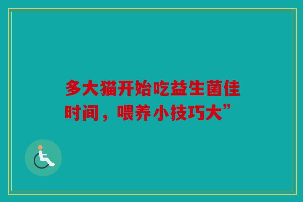 多大猫开始吃益生菌佳时间，喂养小技巧大”