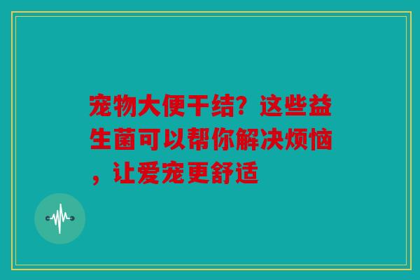 宠物大便干结？这些益生菌可以帮你解决烦恼，让爱宠更舒适