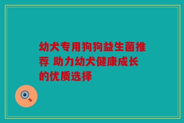 幼犬专用狗狗益生菌推荐 助力幼犬健康成长的优质选择