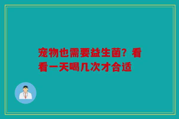 宠物也需要益生菌？看看一天喝几次才合适