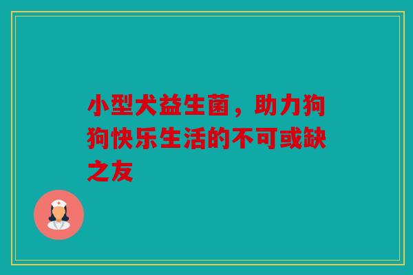 小型犬益生菌，助力狗狗快乐生活的不可或缺之友