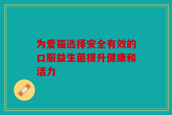 为爱猫选择安全有效的口服益生菌提升健康和活力