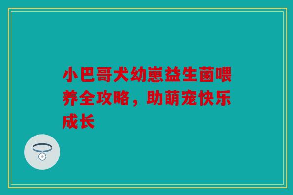 小巴哥犬幼崽益生菌喂养全攻略，助萌宠快乐成长