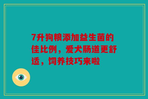 7升狗粮添加益生菌的佳比例，爱犬肠道更舒适，饲养技巧来啦