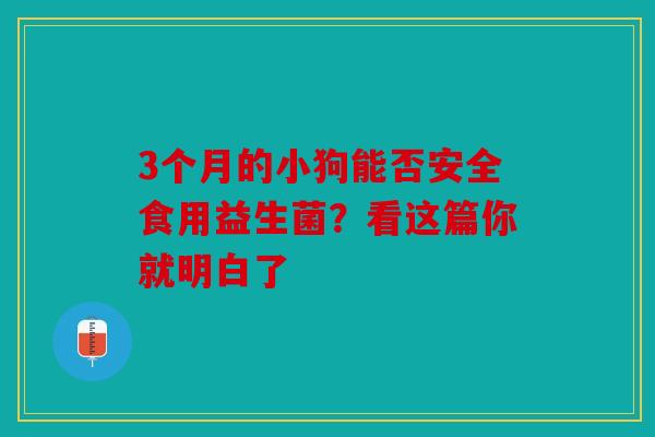 3个月的小狗能否安全食用益生菌？看这篇你就明白了