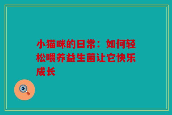 小猫咪的日常：如何轻松喂养益生菌让它快乐成长