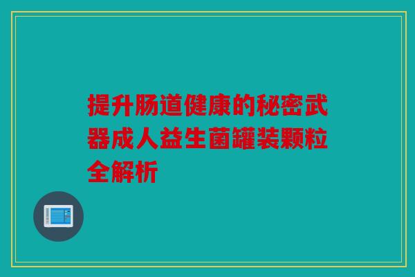 提升肠道健康的秘密武器成人益生菌罐装颗粒全解析