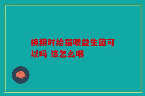 换粮时给猫喂益生菌可以吗 该怎么喂