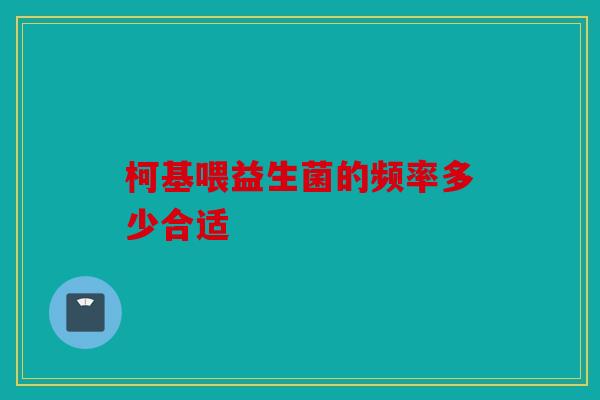 柯基喂益生菌的频率多少合适