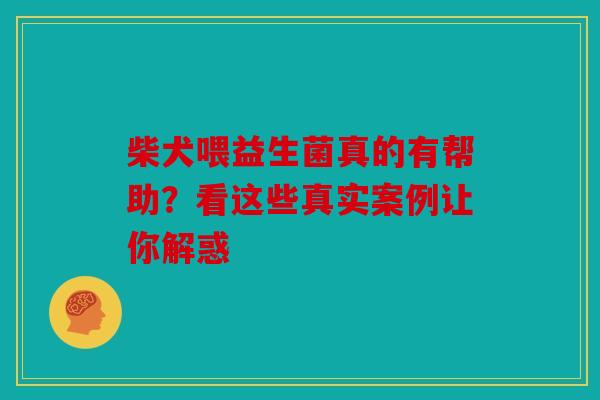 柴犬喂益生菌真的有帮助？看这些真实案例让你解惑