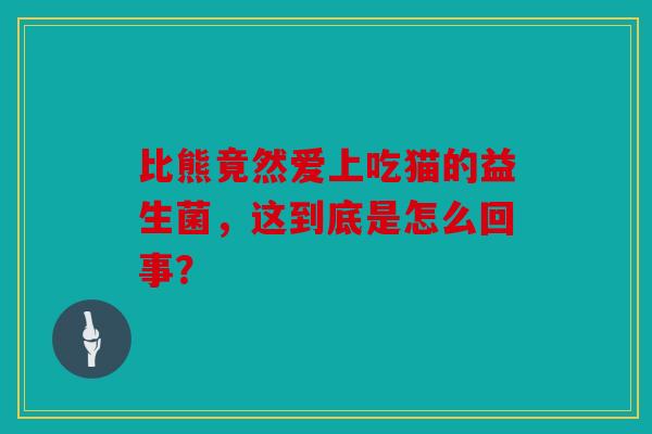 比熊竟然爱上吃猫的益生菌，这到底是怎么回事？