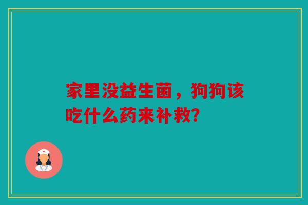 家里没益生菌，狗狗该吃什么药来补救？
