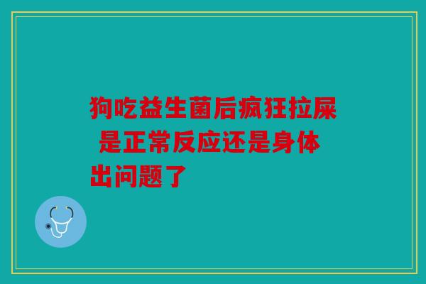 狗吃益生菌后疯狂拉屎 是正常反应还是身体出问题了