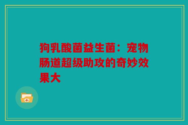 狗乳酸菌益生菌：宠物肠道超级助攻的奇妙效果大