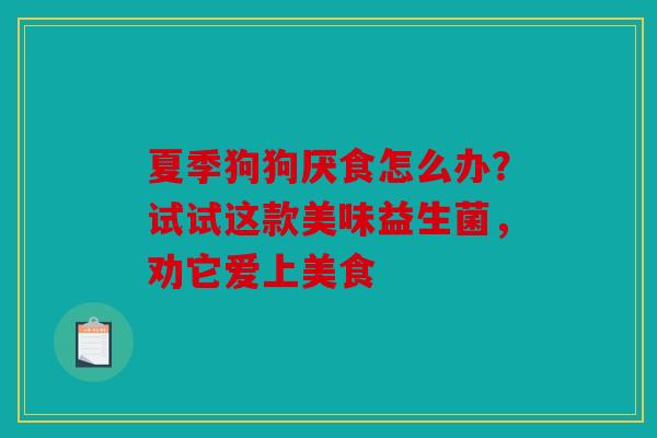 夏季狗狗厌食怎么办？试试这款美味益生菌，劝它爱上美食