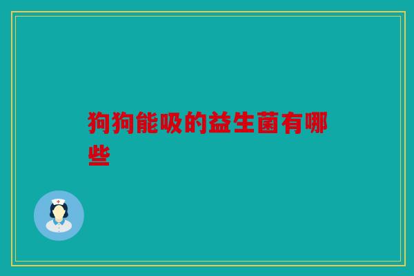 狗狗能吸的益生菌有哪些