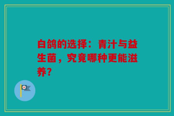 白鸽的选择：青汁与益生菌，究竟哪种更能滋养？