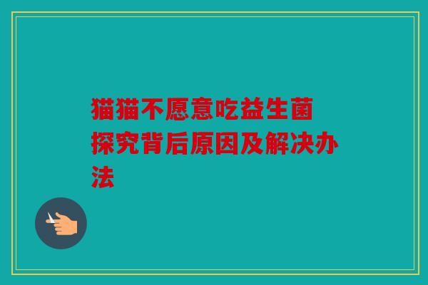 猫猫不愿意吃益生菌 探究背后原因及解决办法