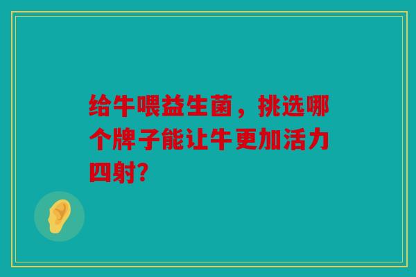 给牛喂益生菌，挑选哪个牌子能让牛更加活力四射？