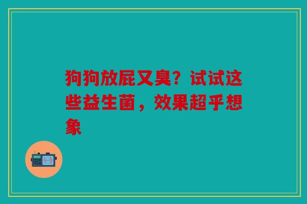 狗狗放屁又臭？试试这些益生菌，效果超乎想象